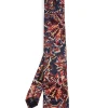 Favourbrook Blue / Purple Charleston Silk Tie- Ties