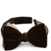 Favourbrook Chocolate Brown Velvet with Gold Bees Contrast Large Party Bow Tie- Bow Ties