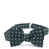 Favourbrook Green Pickwick Silk Bow Tie- Bow Ties