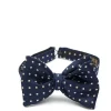 Favourbrook Navy Pickwick Silk Large Party Bow Tie- Bow Ties