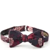 Favourbrook Pink Bourgainville Silk Bow Tie- Bow Ties