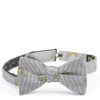 Favourbrook Silver Gold Bees Silk Bow Tie- Bow Ties